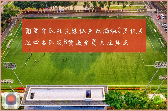 葡萄牙队社交媒体互动揭秘C罗仅关注四名队友B费成全员关注焦点